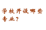 學校有什么專業？